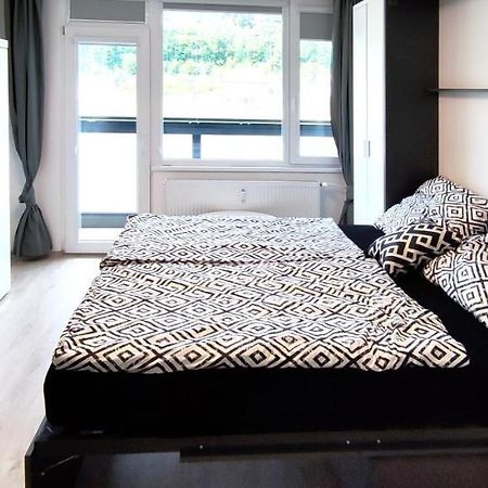 Utulny Apartman V Centru, S Krasnym Vyhledem Decin Dış mekan fotoğraf