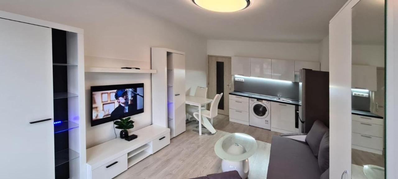 Utulny Apartman V Centru, S Krasnym Vyhledem Decin Dış mekan fotoğraf