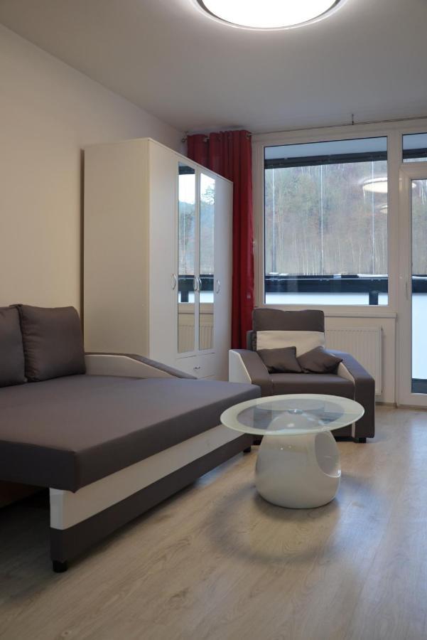 Utulny Apartman V Centru, S Krasnym Vyhledem Decin Dış mekan fotoğraf
