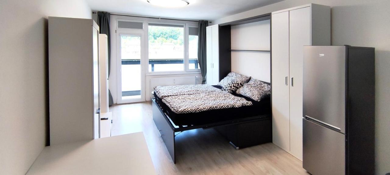 Utulny Apartman V Centru, S Krasnym Vyhledem Decin Dış mekan fotoğraf