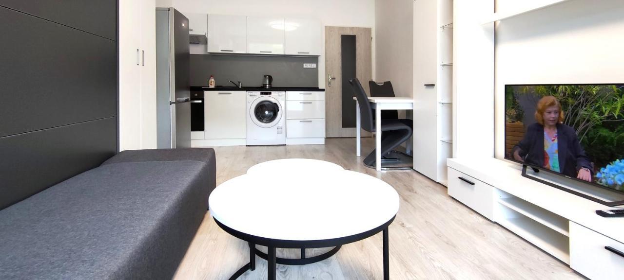 Utulny Apartman V Centru, S Krasnym Vyhledem Decin Dış mekan fotoğraf