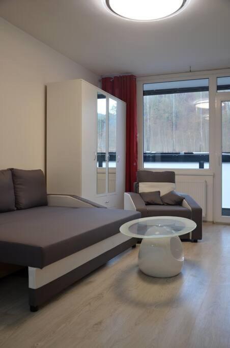 Utulny Apartman V Centru, S Krasnym Vyhledem Decin Dış mekan fotoğraf