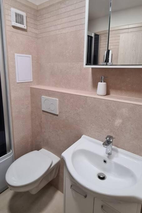 Utulny Apartman V Centru, S Krasnym Vyhledem Decin Dış mekan fotoğraf