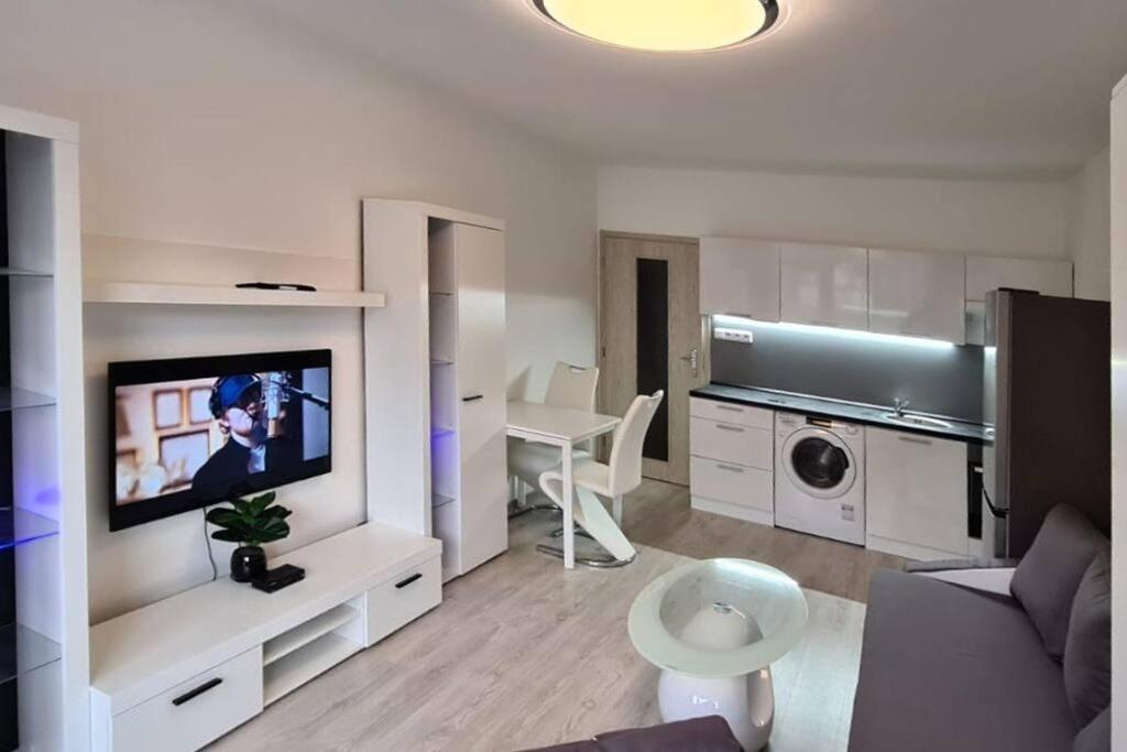 Utulny Apartman V Centru, S Krasnym Vyhledem Decin Dış mekan fotoğraf