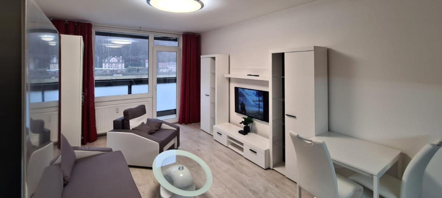 Utulny Apartman V Centru, S Krasnym Vyhledem Decin Dış mekan fotoğraf